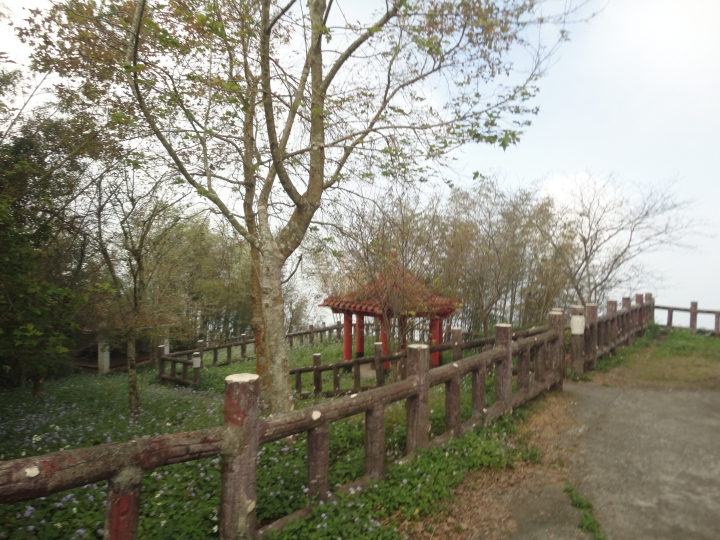 「神鵝瞎旅」(下)之 集集大山 老頭 〝踏去當〞。