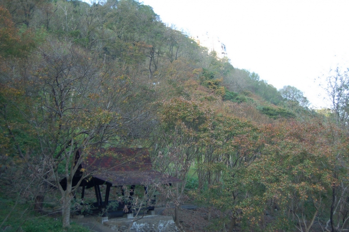 石門楓紅很差