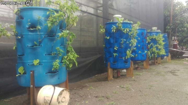 蚓菜共生廚餘桶DIY製作與圖文分享