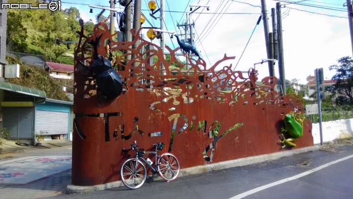 梅山36彎及二尖山茶園、碧湖山茶園一日遊