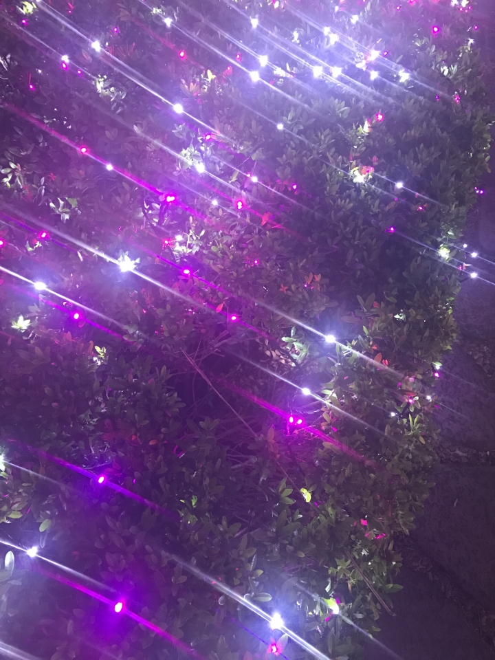 iPhone 7 相機光線問題