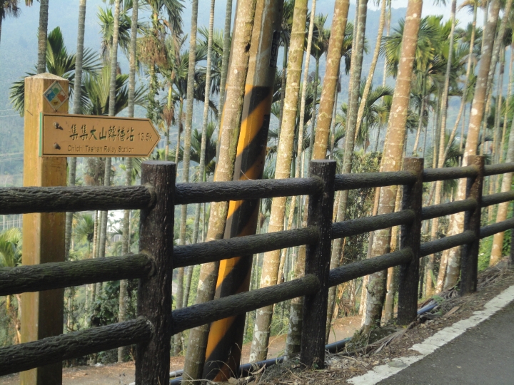 「神鵝瞎旅」(下)之 集集大山 老頭 〝踏去當〞。