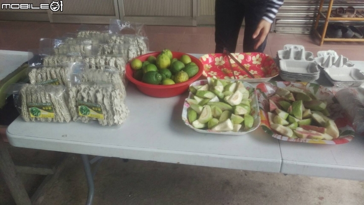 蚓菜共生廚餘桶DIY製作與圖文分享