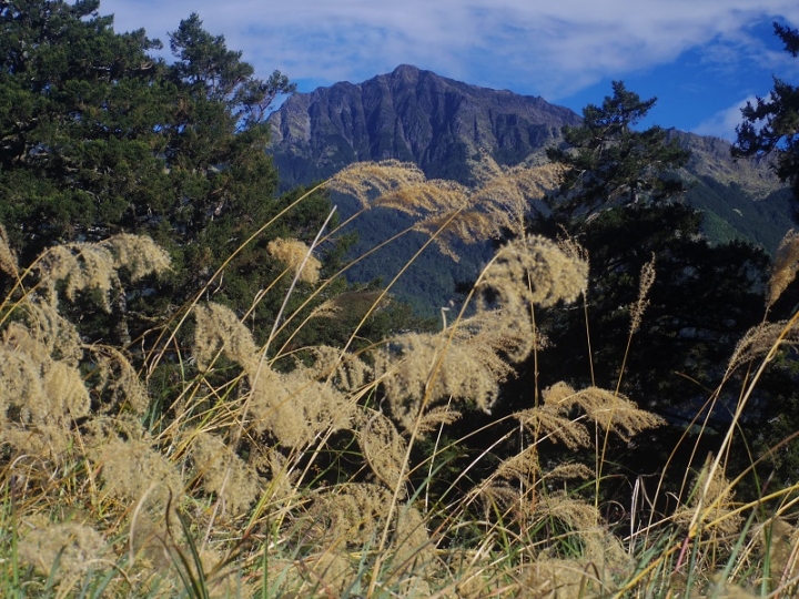 天公作美的南湖大山四日行程