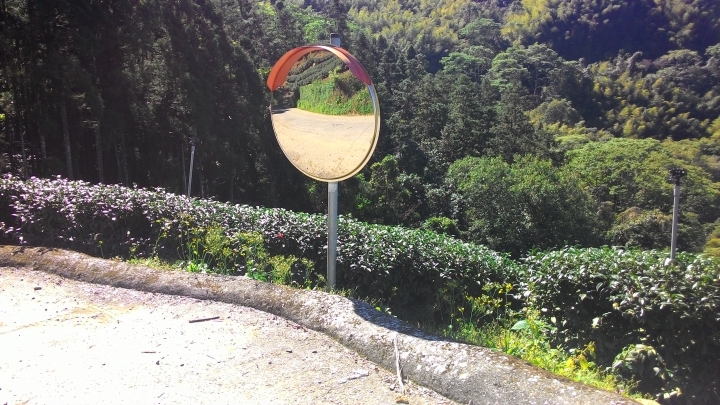 鐵腿之旅-八卦茶園+梯子吊橋(應老頭要求，作了一份圖片解說版)