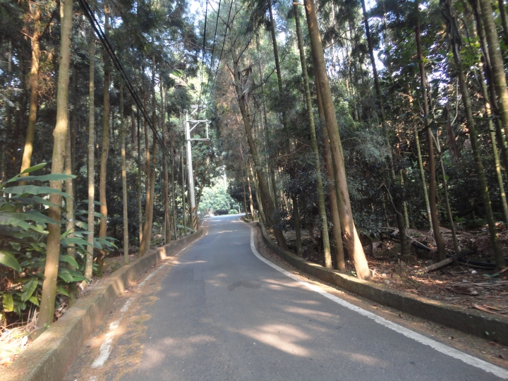 「神鵝瞎旅」(下)之 集集大山 老頭 〝踏去當〞。