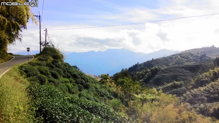 梅山36彎及二尖山茶園、碧湖山茶園一日遊