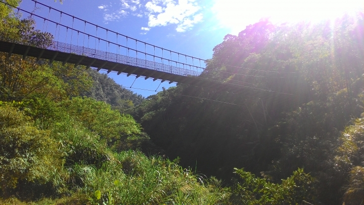 鐵腿之旅-八卦茶園+梯子吊橋(應老頭要求，作了一份圖片解說版)