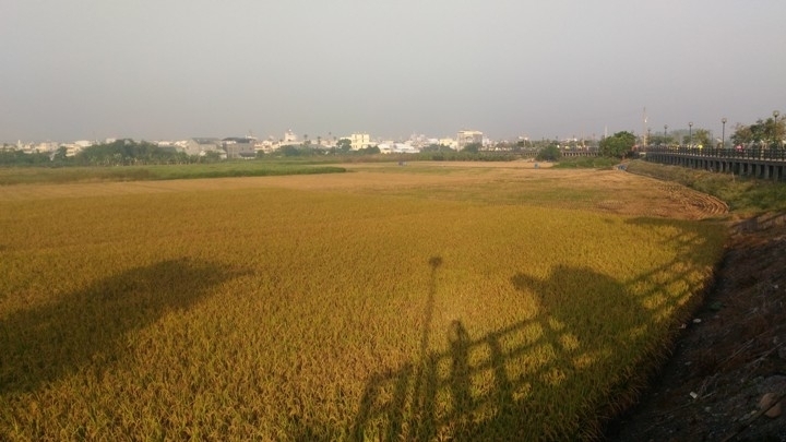 台 灣 米 倉 田 中 之 旅 ( 下 ) 騎 遊 八 堡 圳