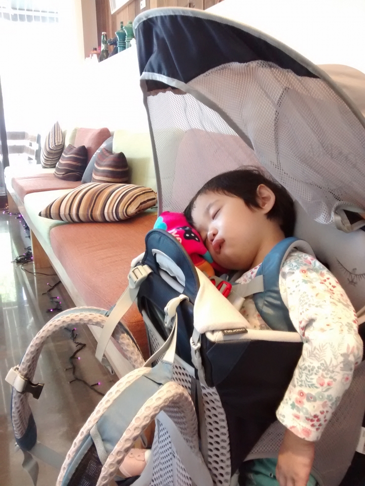 Osprey Poco AG plus vs. Deuter Comfort 3 嬰幼兒背架 (moto g 照片效果傷眼, 慎入)