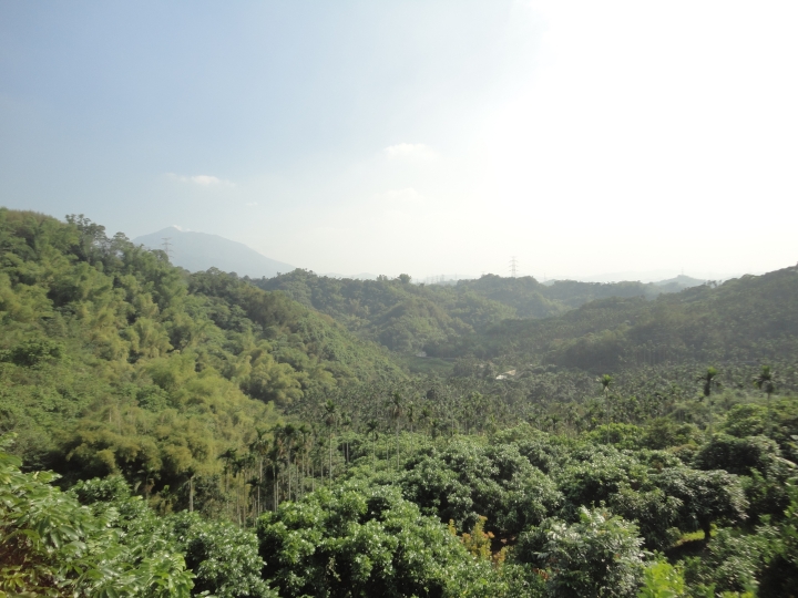 「神鵝瞎旅」(下)之 集集大山 老頭 〝踏去當〞。