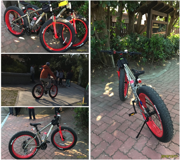 七股的黑琵+沙灘單車