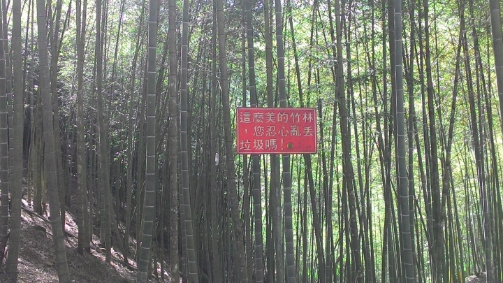 鐵腿之旅-八卦茶園+梯子吊橋(應老頭要求，作了一份圖片解說版)