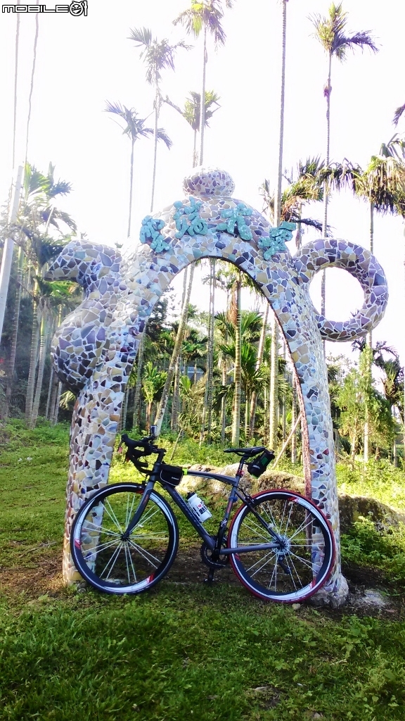 梅山36彎及二尖山茶園、碧湖山茶園一日遊