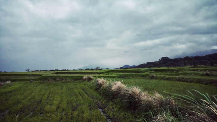 去年年底很冷的花蓮