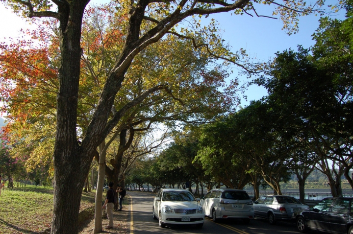 石門楓紅很差