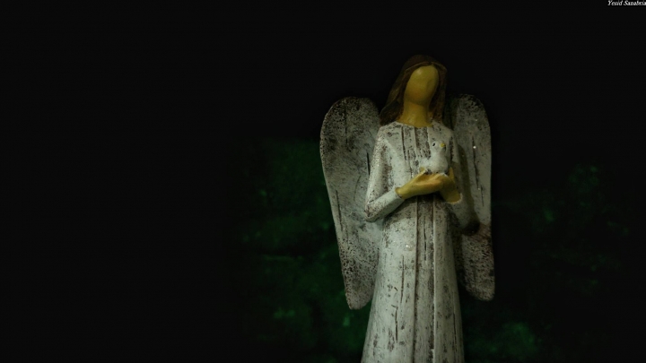 (第86批圖) LG G4 &G5&V10&v20 日夜拍研究團 精選作品2016.12.21