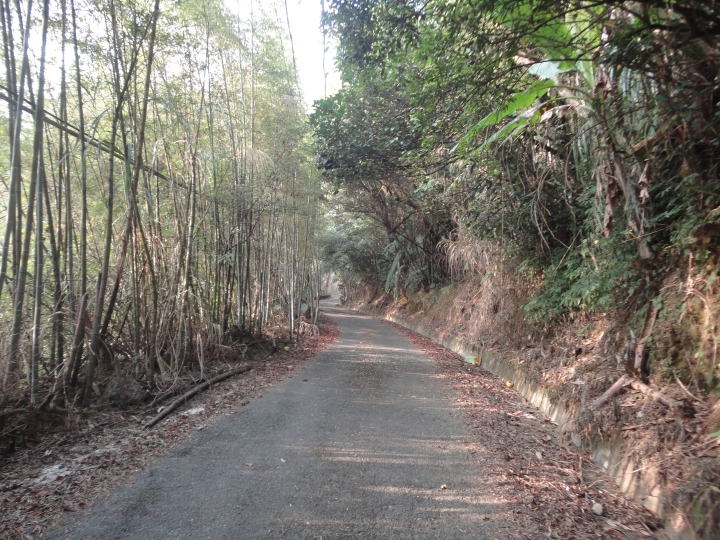 「神鵝瞎旅」(下)之 集集大山 老頭 〝踏去當〞。