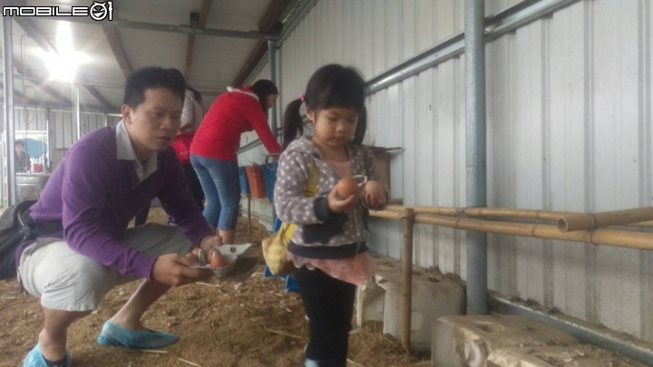 蚓菜共生廚餘桶DIY製作與圖文分享