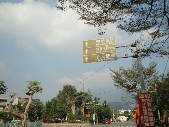 「神鵝瞎旅」(下)之 集集大山 老頭 〝踏去當〞。