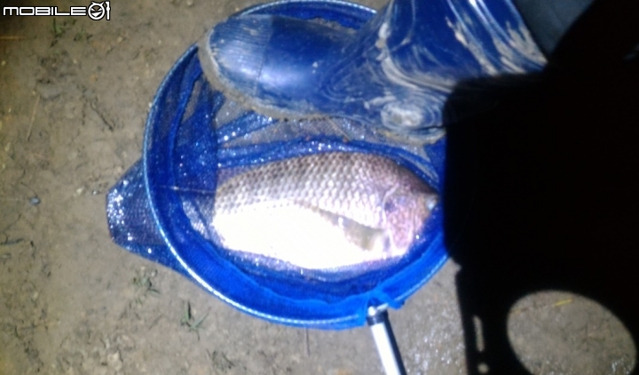 休假夜釣二天都有安慰獎