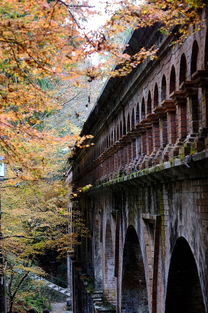 2016 京都賞楓 XE2+16mm 1.4 & XE1+55-200mm