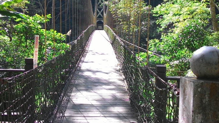 鐵腿之旅-八卦茶園+梯子吊橋(應老頭要求，作了一份圖片解說版)
