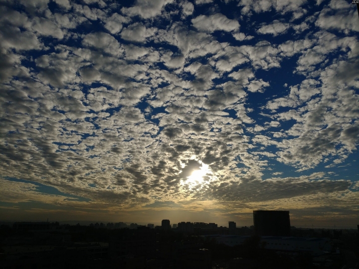 (第86批圖) LG G4 &G5&V10&v20 日夜拍研究團 精選作品2016.12.21