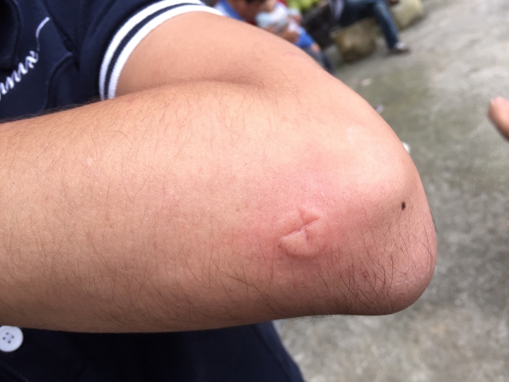 Tucson出遊(採柚子、高美溼地夜拍)