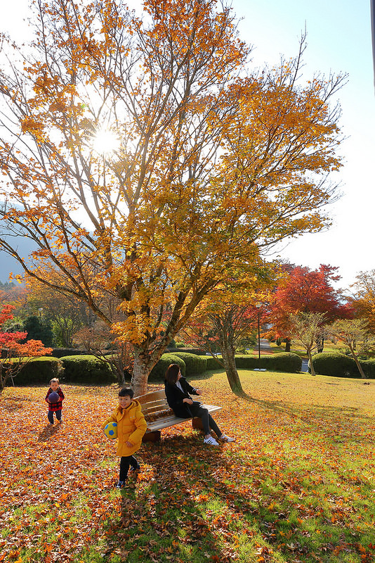 【2016秋】低調但很有溫度的「小田急箱根湖酒店(Hakone Lake Hotel)」(小田急箱根レイクホテル)