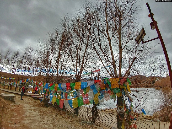 (第87批圖) LG G4 &G5&V10&v20 日夜拍研究團 精選作品2016.12.28