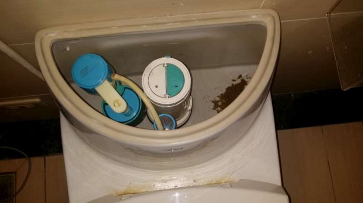 求救...單體馬桶如何拆解落水器