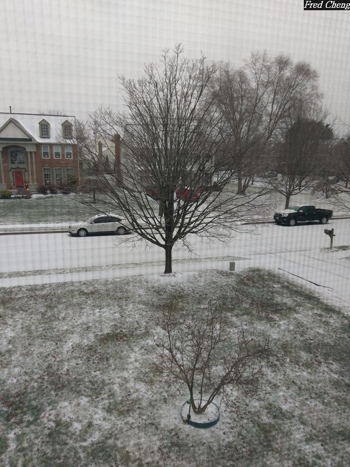 (第86批圖) LG G4 &G5&V10&v20 日夜拍研究團 精選作品2016.12.21