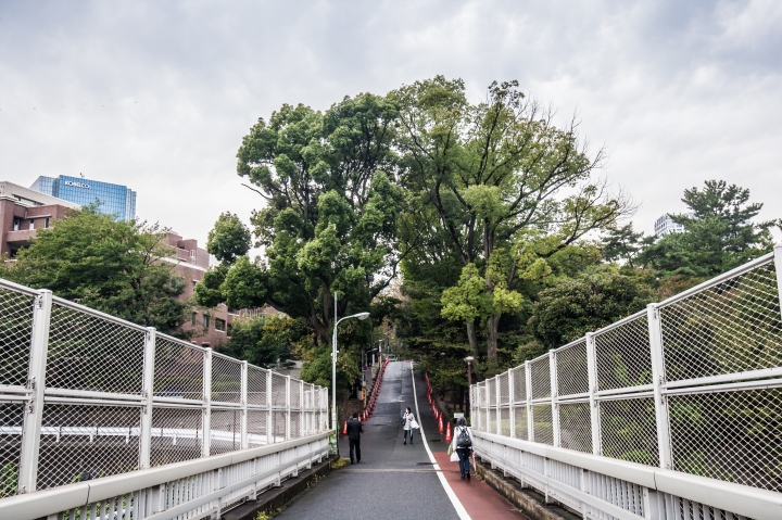 第一次帶媽媽日本東京八天七夜自助之旅 (圖多文多慎入)