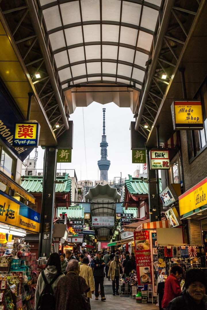 第一次帶媽媽日本東京八天七夜自助之旅 (圖多文多慎入)