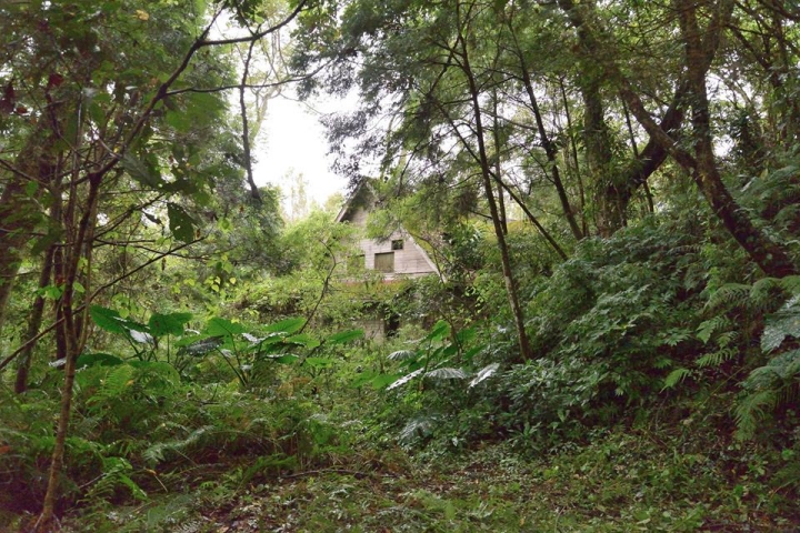 賽德克巴萊拍攝場景 桃山部落雪山坑山蘇林 陷阱製作 入山祈福