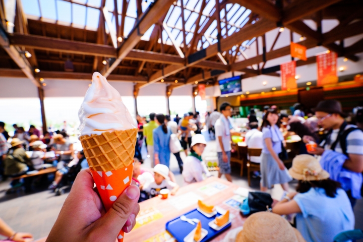 [遊記]帶著兩歲娃的夏日北海道--美瑛。富良野篇（A7ii+1635）