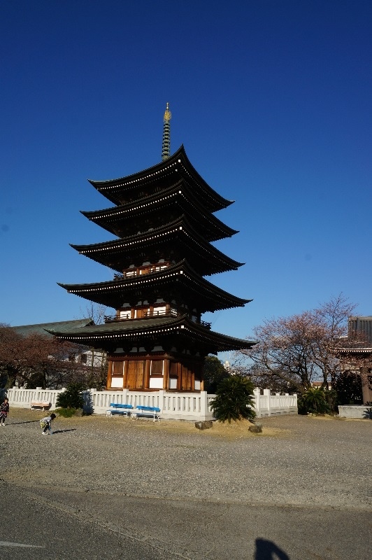 [名古屋-美食]||Chez Shibata柴田西點||覺王寺|| 甜點波棒