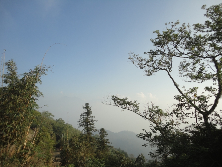 「神鵝瞎旅」(下)之 集集大山 老頭 〝踏去當〞。