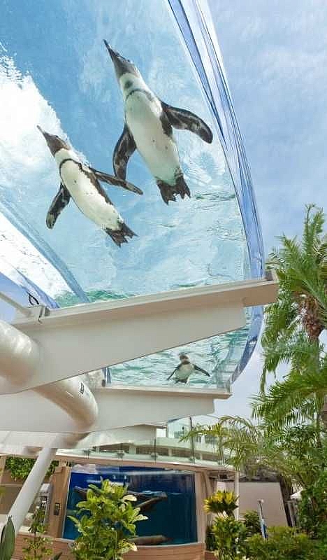 哪裡有透明玻璃的水族河道?