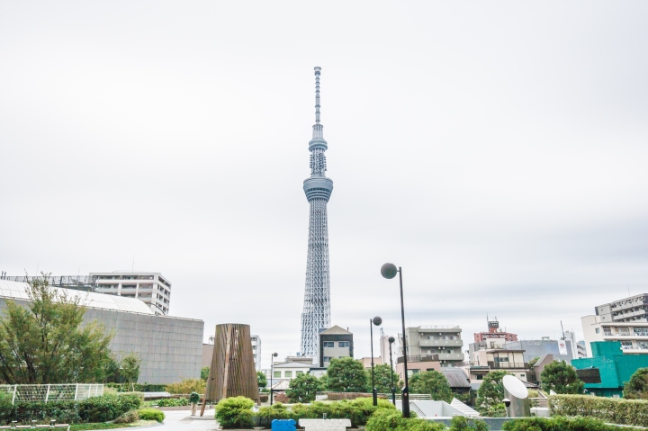 第一次帶媽媽日本東京八天七夜自助之旅 (圖多文多慎入)