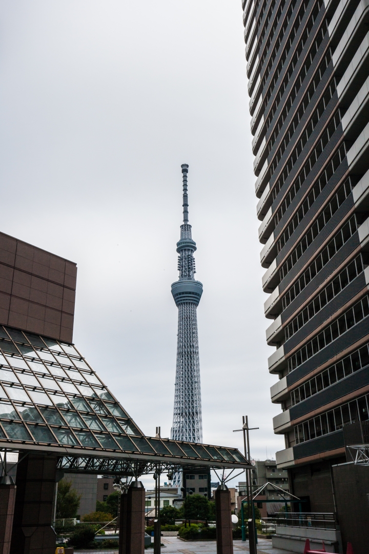 第一次帶媽媽日本東京八天七夜自助之旅 (圖多文多慎入)