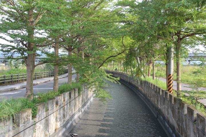 台 灣 米 倉 田 中 之 旅 ( 下 ) 騎 遊 八 堡 圳