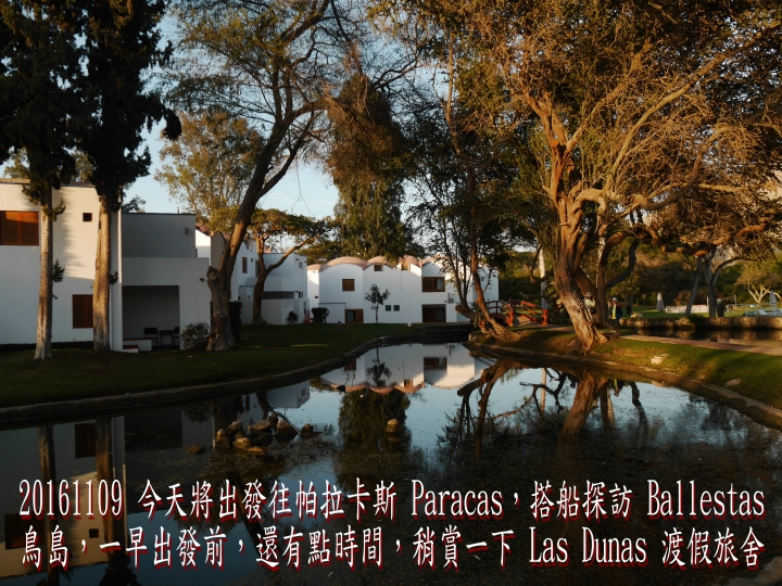 20161109 南美秘魯玻利維亞19日遊05-訪Ballestas鳥島
