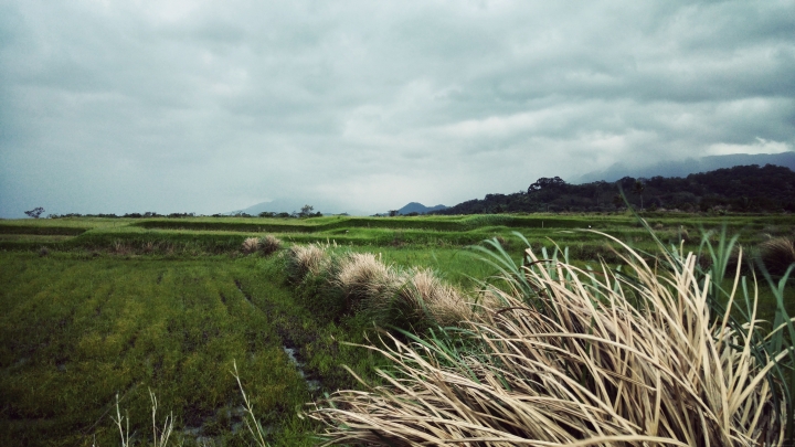 去年年底很冷的花蓮