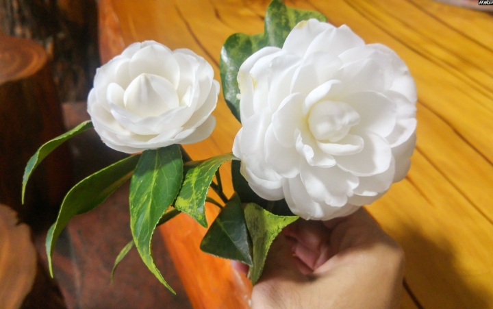 (第86批圖) LG G4 &G5&V10&v20 日夜拍研究團 精選作品2016.12.21