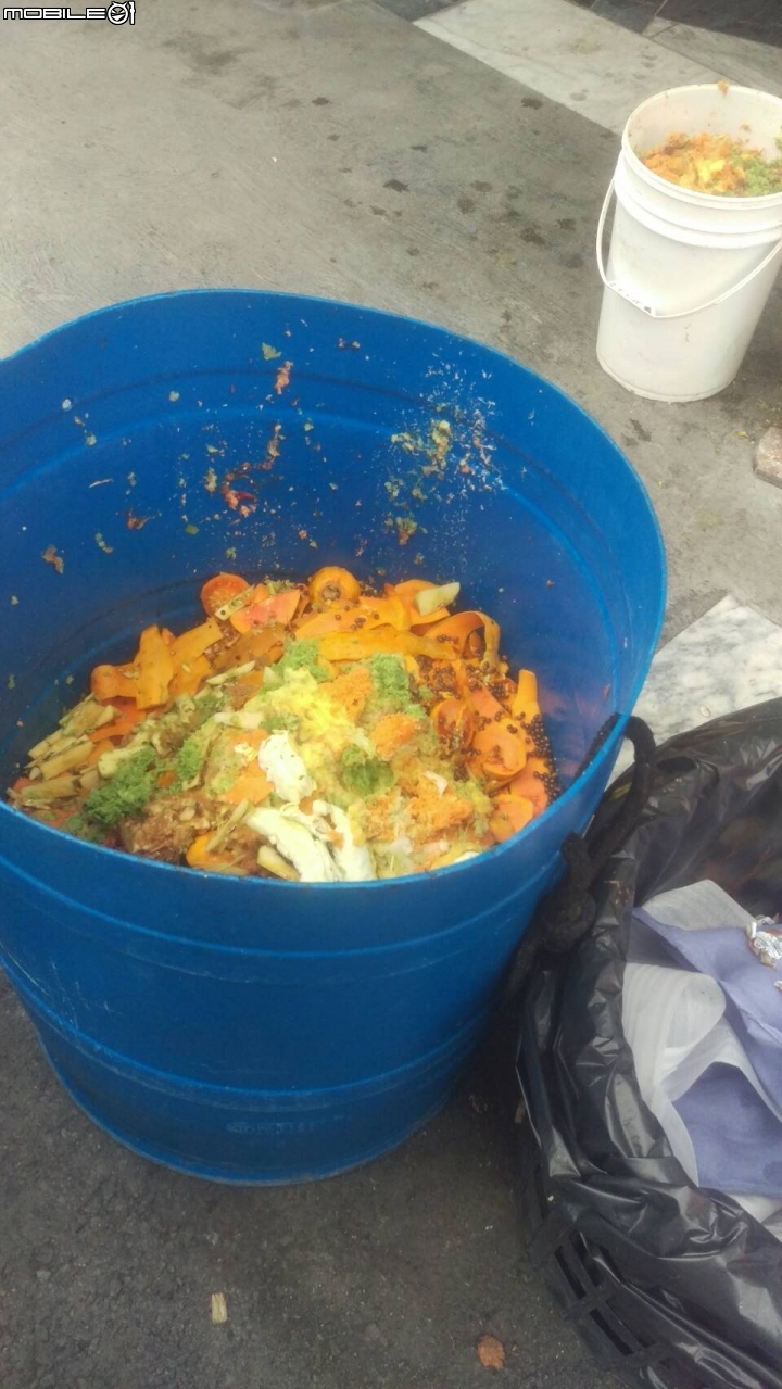 蚓菜共生廚餘桶DIY製作與圖文分享