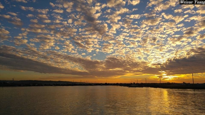 (第86批圖) LG G4 &G5&V10&v20 日夜拍研究團 精選作品2016.12.21