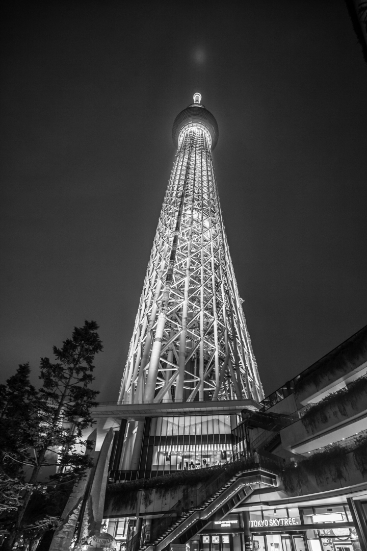 第一次帶媽媽日本東京八天七夜自助之旅 (圖多文多慎入)