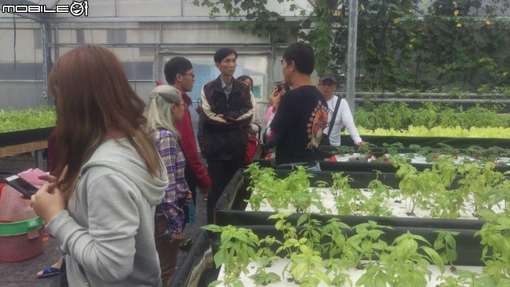 蚓菜共生廚餘桶DIY製作與圖文分享